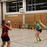 2016_01_23 Landesliga Frauen